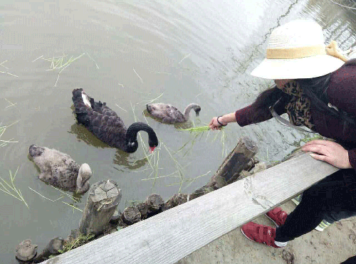 江苏大同盟制药有限公司员工活动